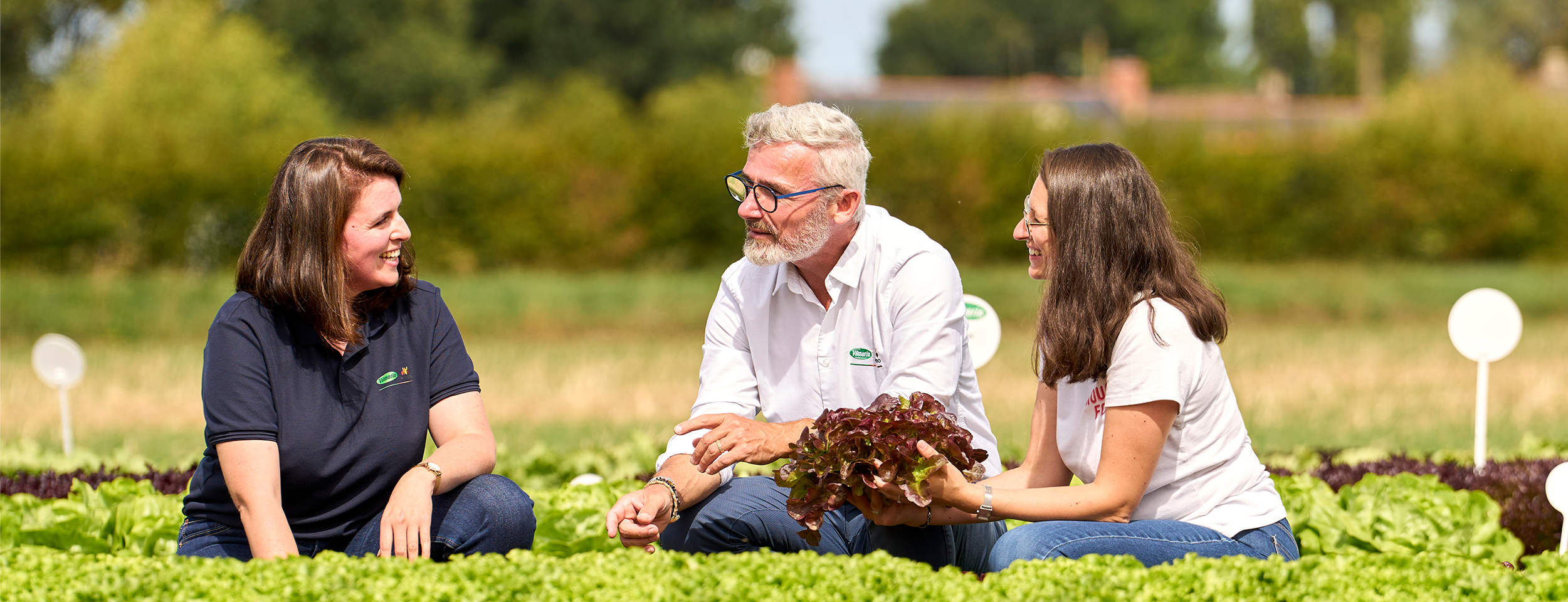 Vilmorin - эксперт по семенам овощей