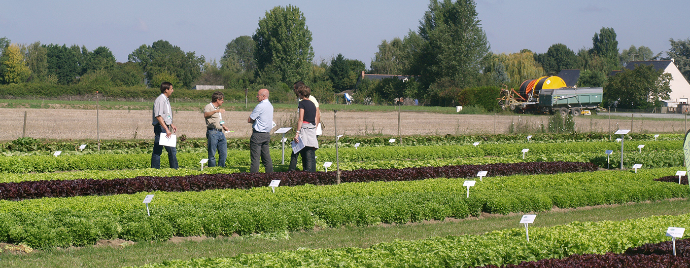 месторождение