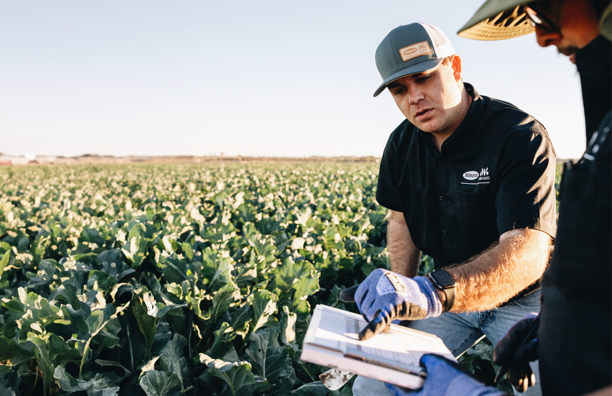 Повсюду рядом с вами