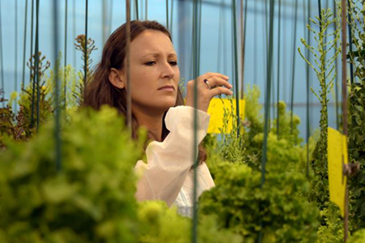 Быть ближе к потребностям фермеров