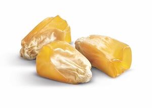 Семена кукурузы