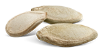Squash Seed Vilmorin